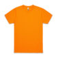 Variation picture for Safety Orange