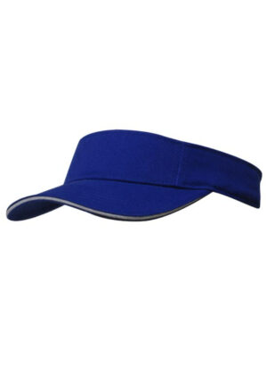 Visors